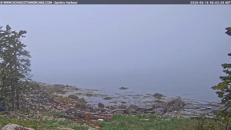 Sambro Harbour