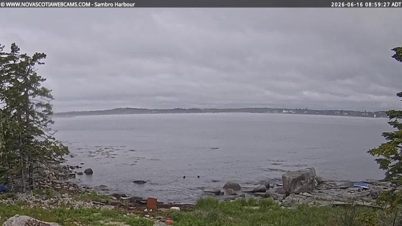 Sambro Harbour