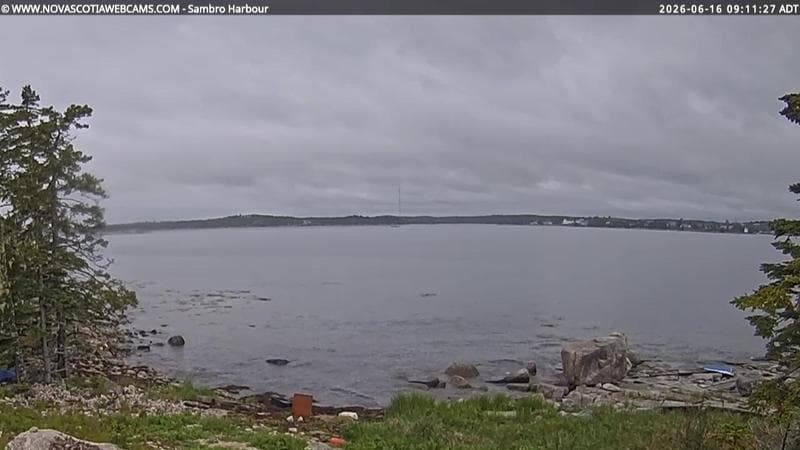 Sambro Harbour