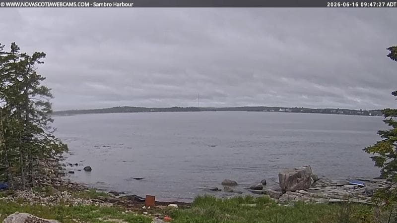 Sambro Harbour
