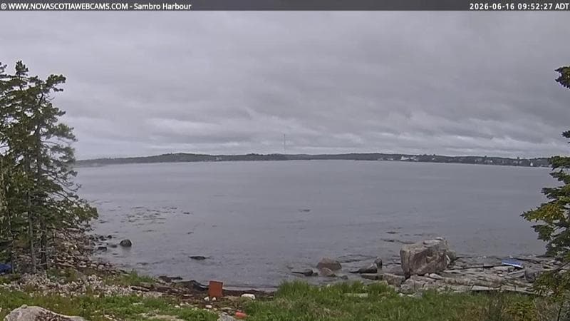 Sambro Harbour