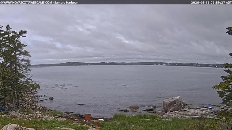 Sambro Harbour