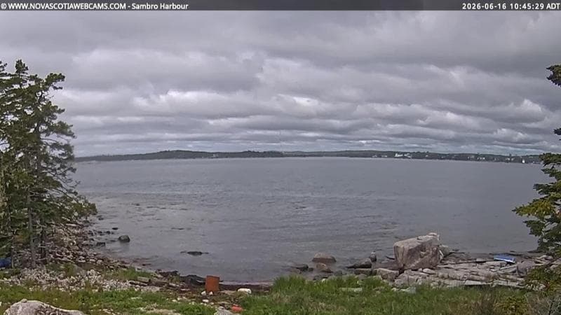 Sambro Harbour