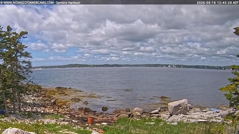 Sambro Harbour