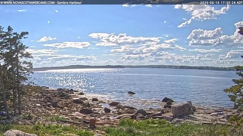 Sambro Harbour