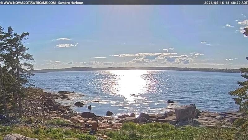 Sambro Harbour
