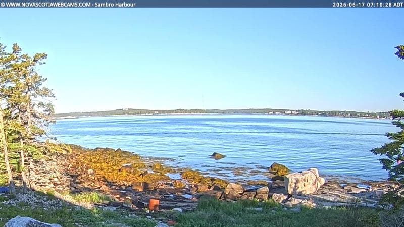 Sambro Harbour