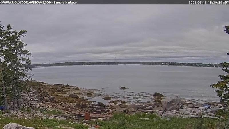 Sambro Harbour