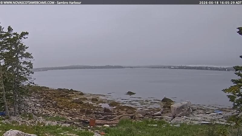 Sambro Harbour