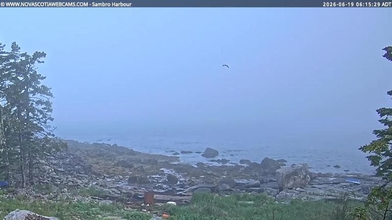 Sambro Harbour