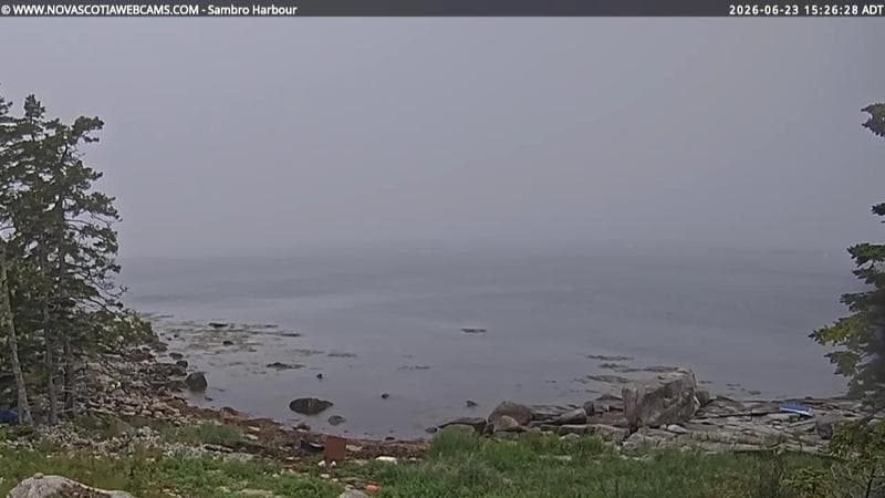 Sambro Harbour