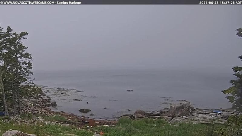 Sambro Harbour