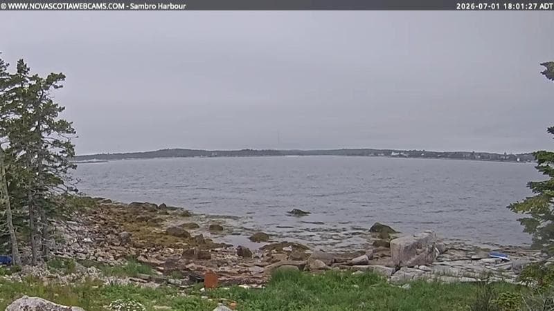 Sambro Harbour