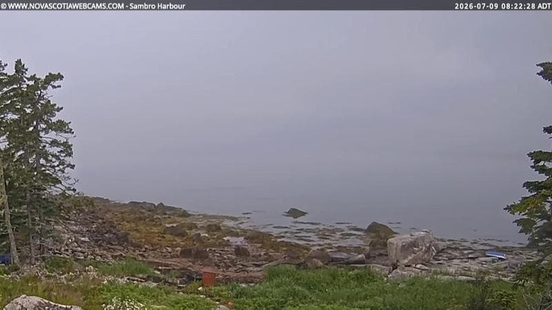 Sambro Harbour