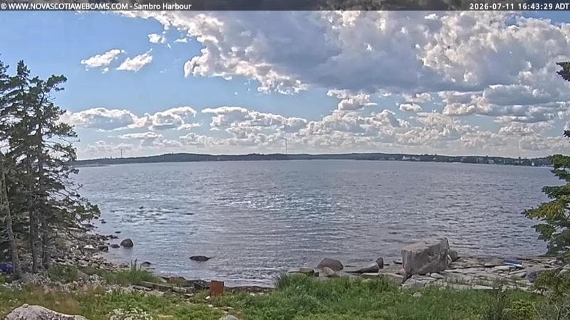 Sambro Harbour