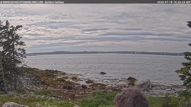 Sambro Harbour