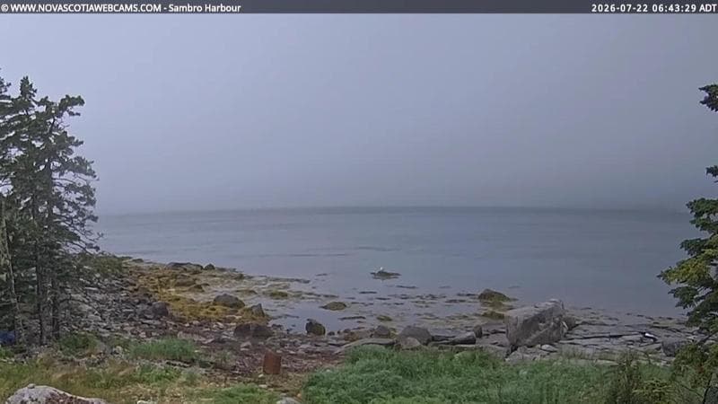 Sambro Harbour