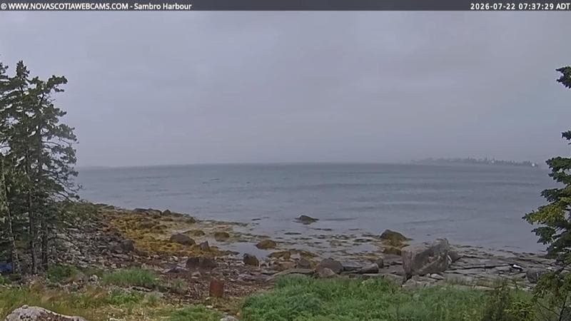 Sambro Harbour