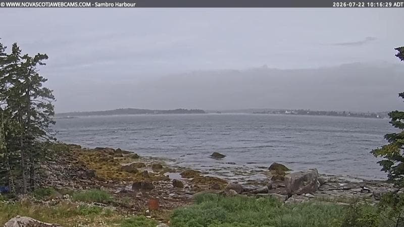 Sambro Harbour