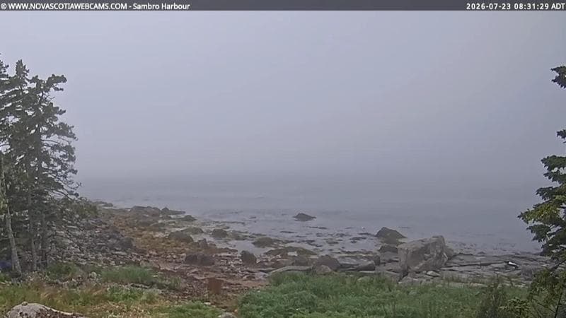 Sambro Harbour