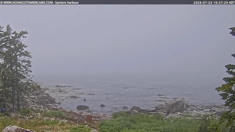Sambro Harbour