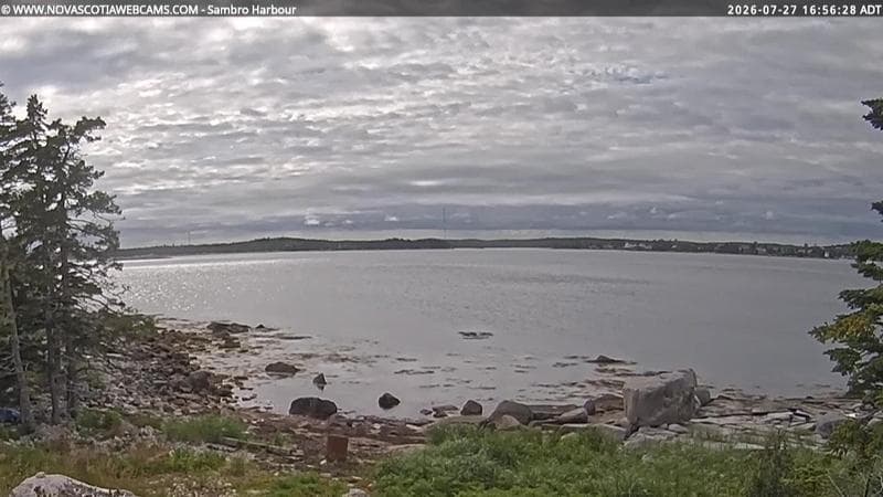 Sambro Harbour