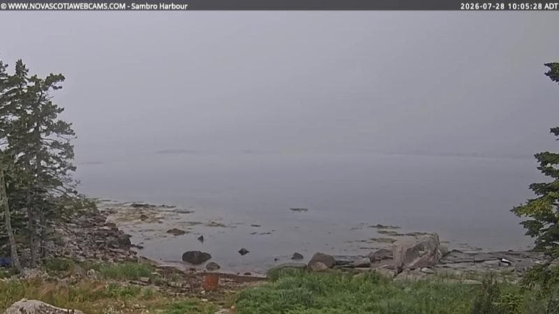 Sambro Harbour