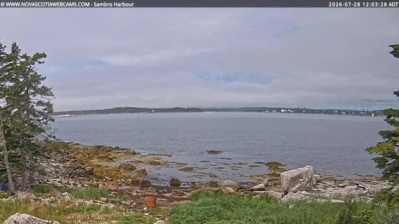 Sambro Harbour