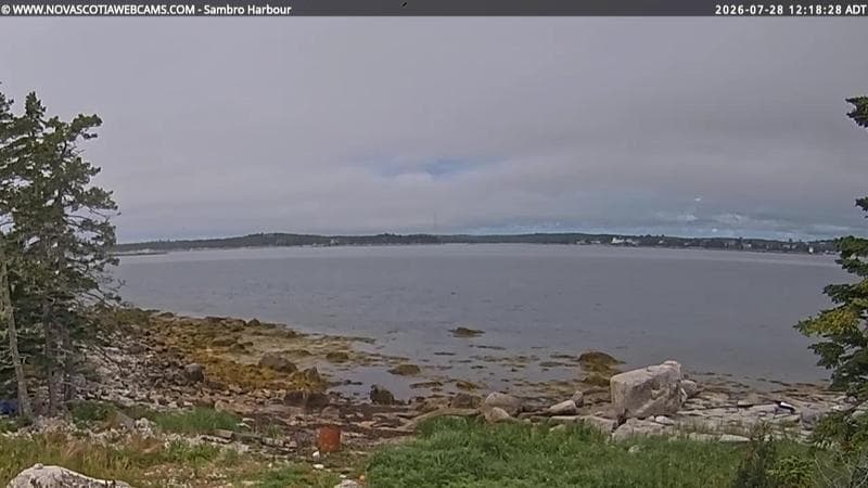 Sambro Harbour