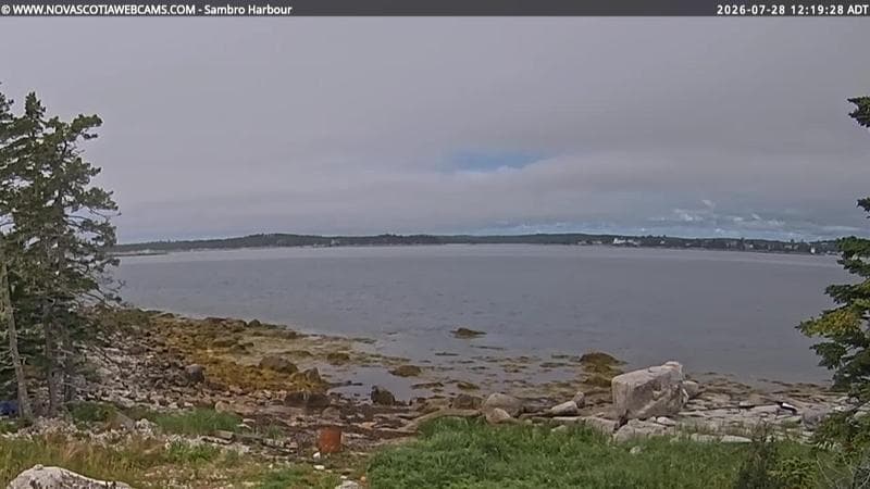 Sambro Harbour