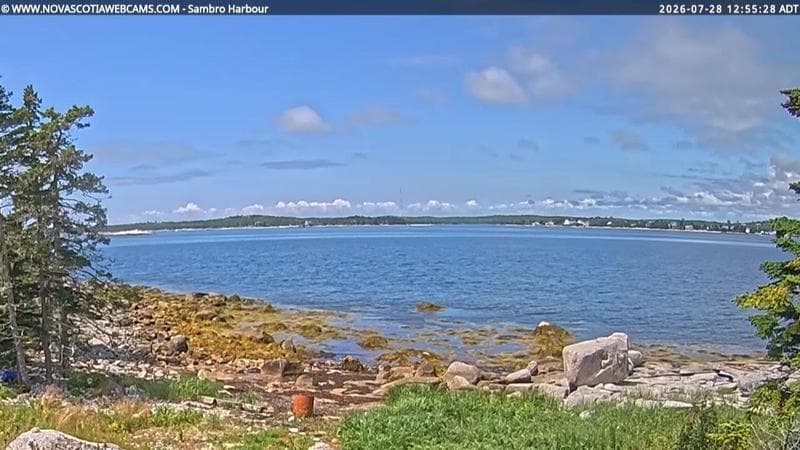 Sambro Harbour