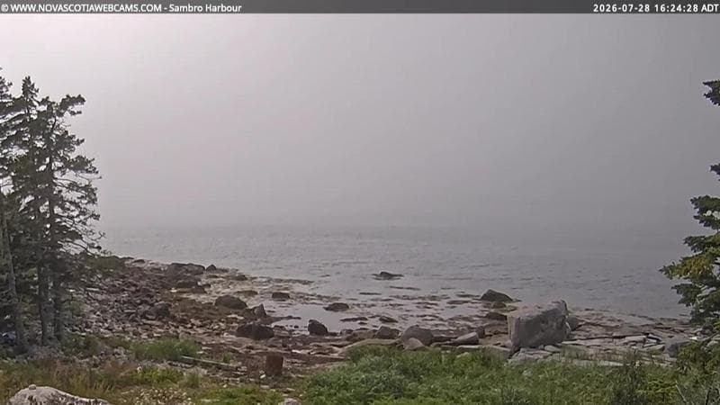 Sambro Harbour