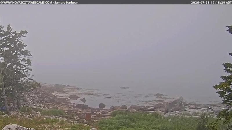 Sambro Harbour