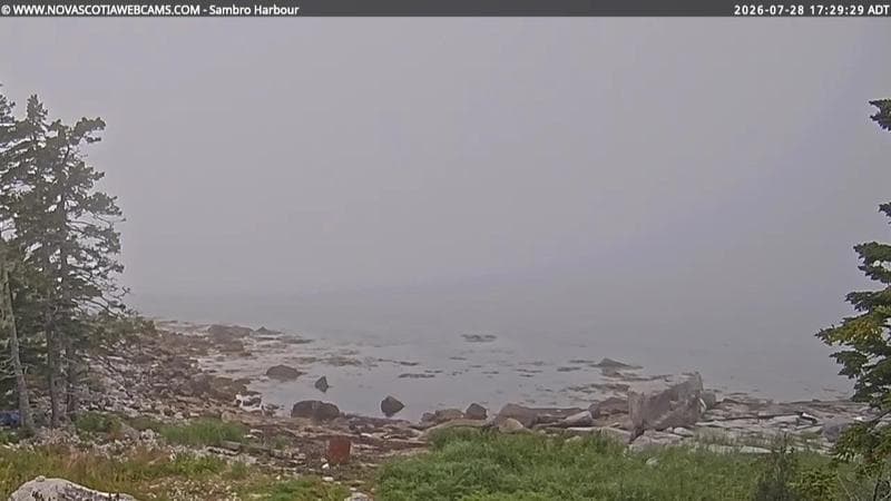 Sambro Harbour