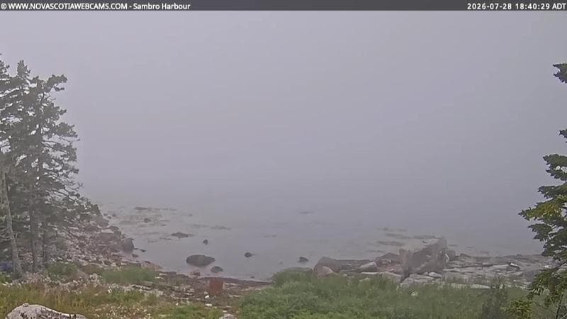 Sambro Harbour