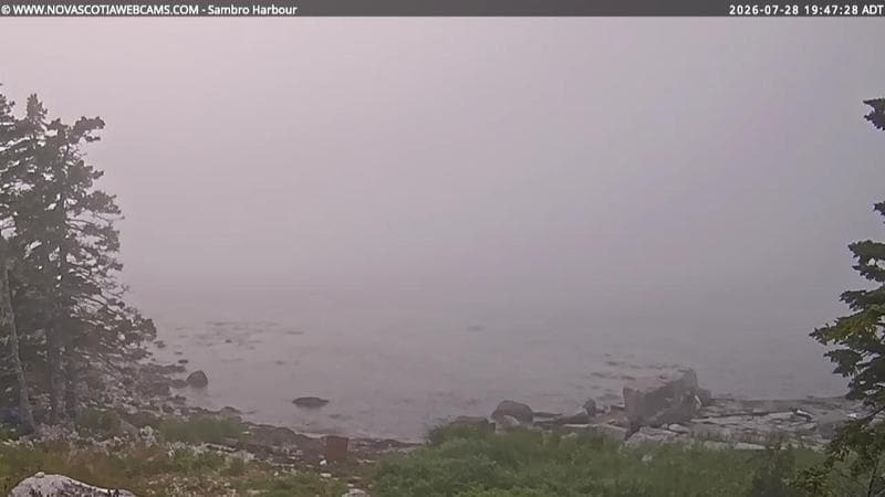 Sambro Harbour