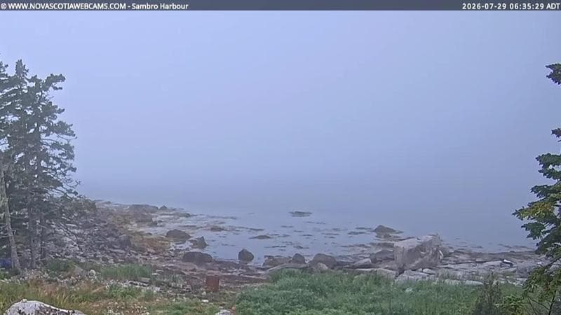 Sambro Harbour