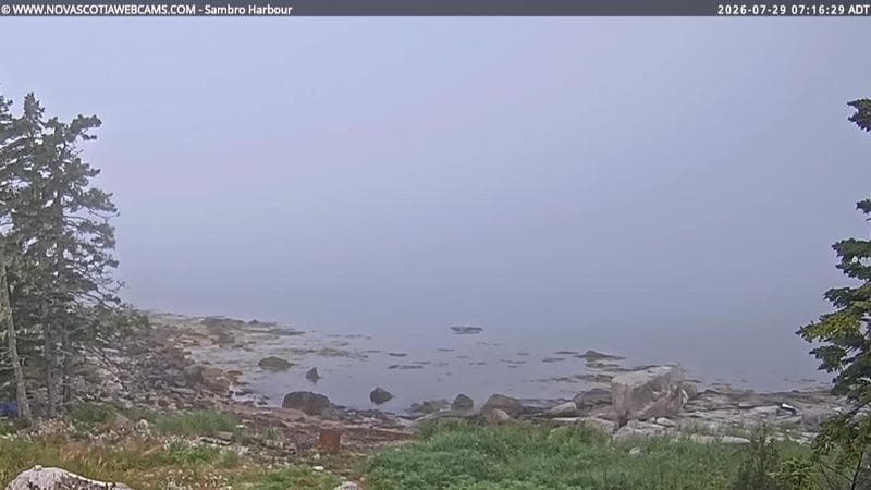 Sambro Harbour