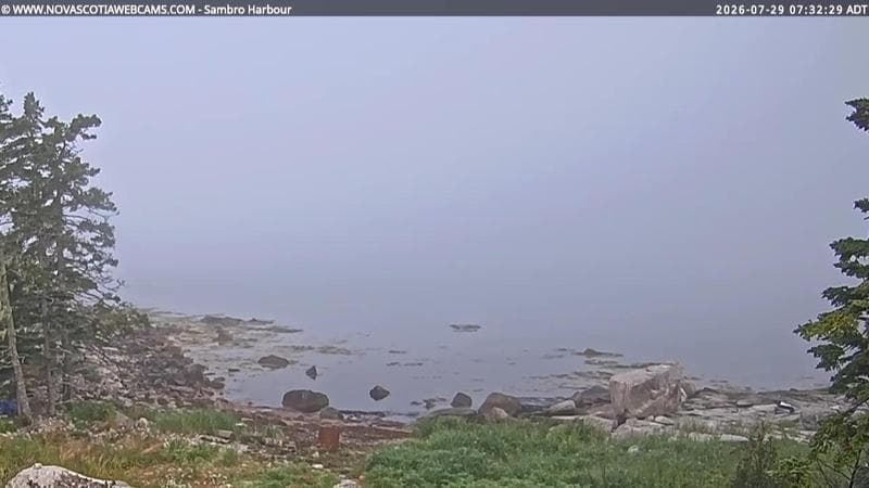Sambro Harbour