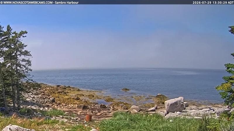 Sambro Harbour