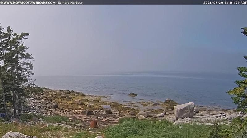 Sambro Harbour