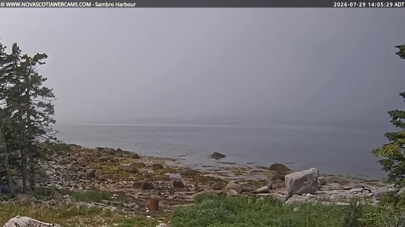 Sambro Harbour