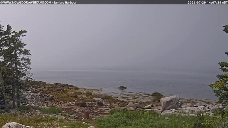 Sambro Harbour