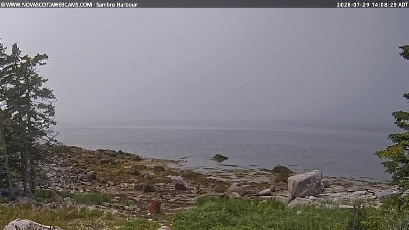 Sambro Harbour