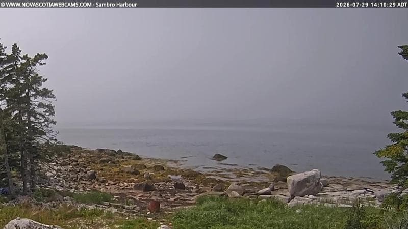 Sambro Harbour