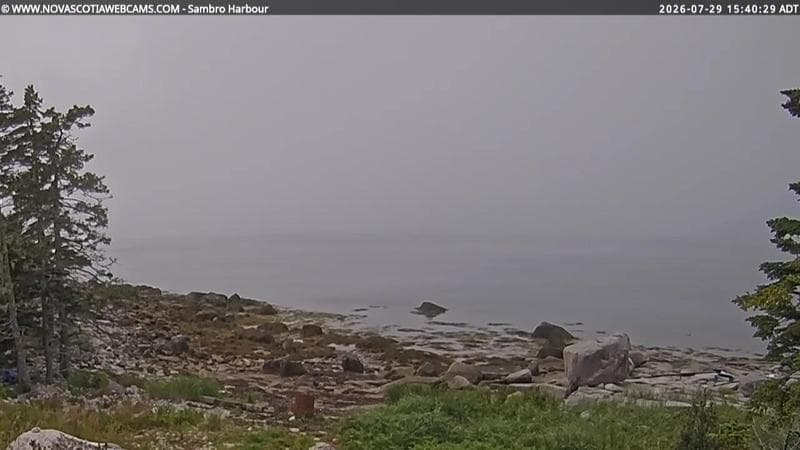Sambro Harbour