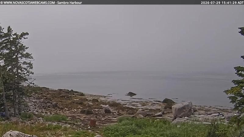 Sambro Harbour