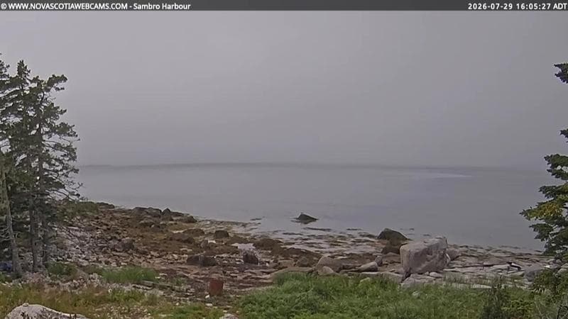 Sambro Harbour