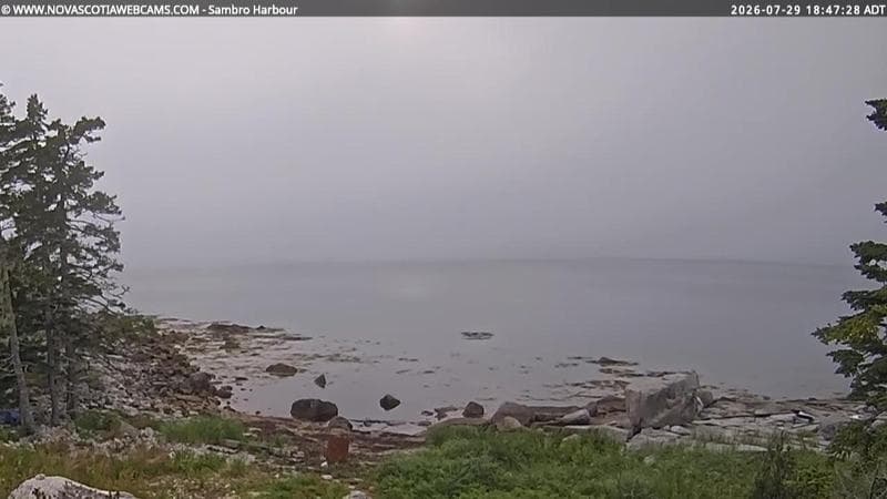 Sambro Harbour