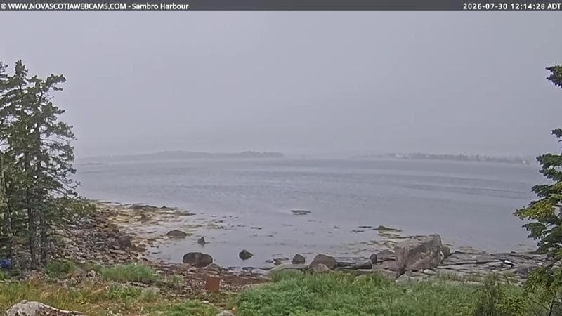 Sambro Harbour